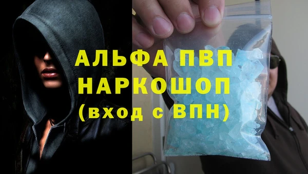 дурь Бородино