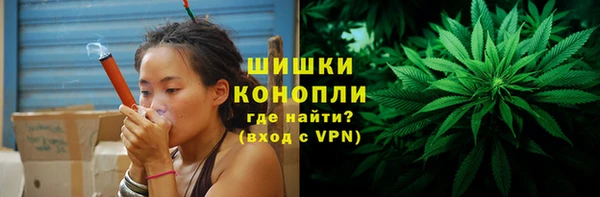 гидра Бронницы