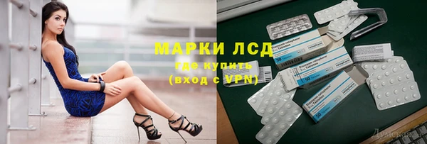 дурь Бородино
