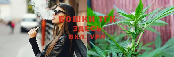 дурь Бородино