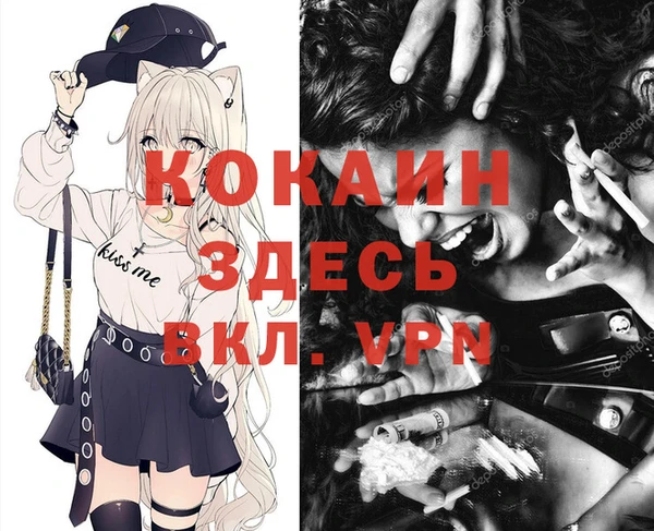гидра Бронницы