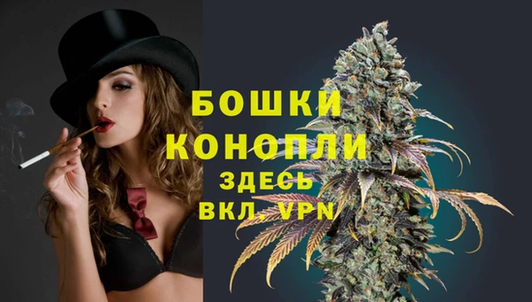 дурь Бородино