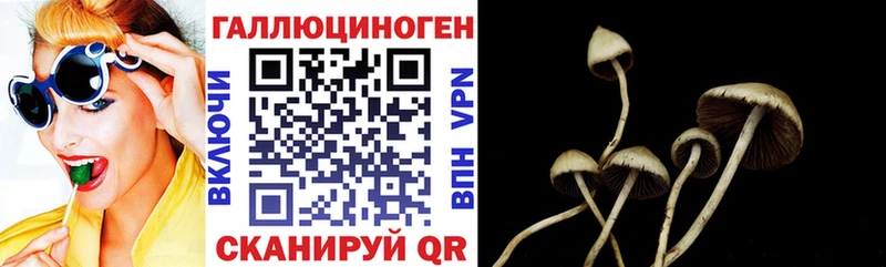 купить наркотики сайты Новоульяновск Псилоцибиновые грибы Magic Shrooms